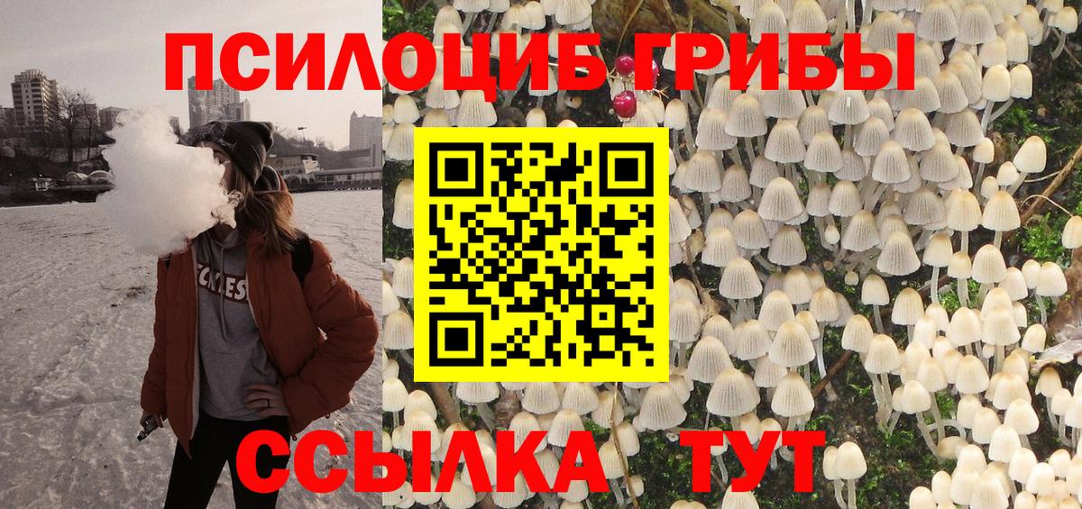 Псилоцибиновые грибы Psilocybe Тобольск