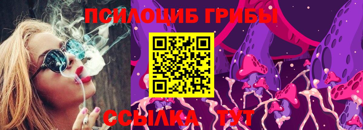 Псилоцибиновые грибы ЛСД  Вход с VPN  Тобольск  Галлюциногенные грибы Psilocybe 